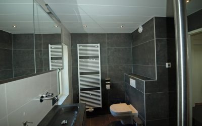Badkamer in Nieuwleusen